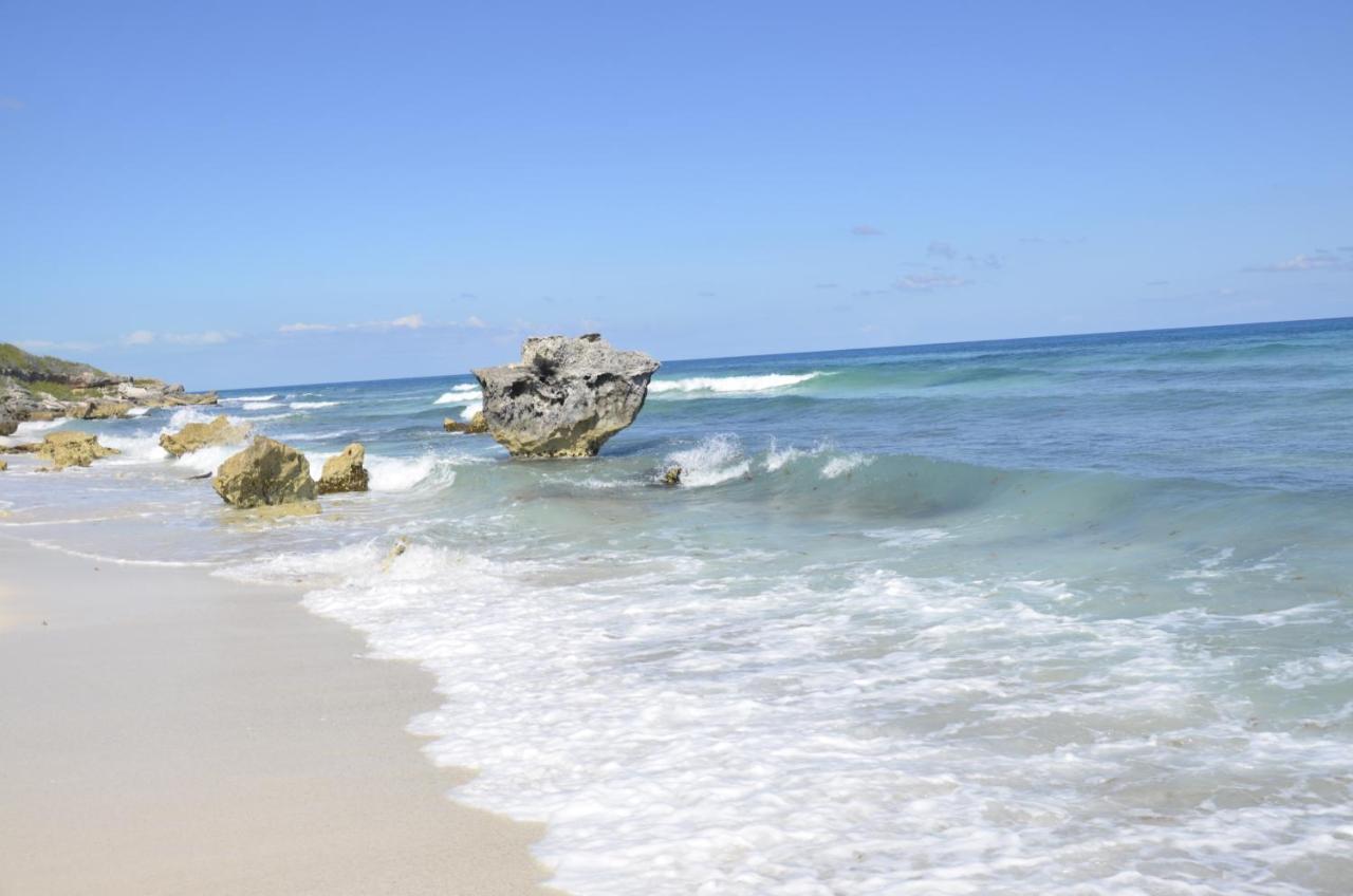 Ar Ocean View Apartments Isla Mujeres Bagian luar foto